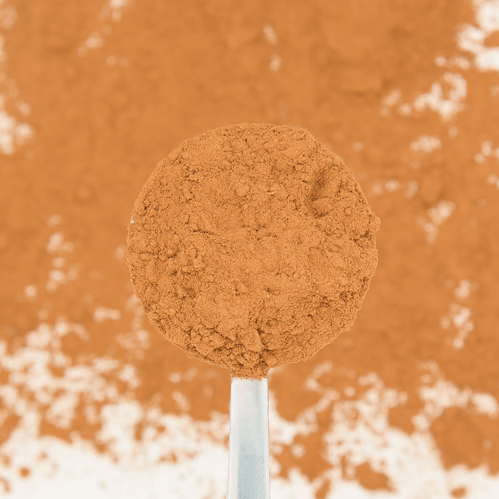 Smooth Vanilla Rooibos Tea Powder spoon