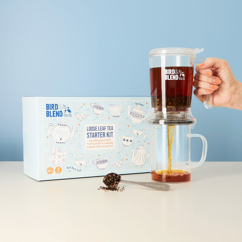 Brewdini Loose Leaf Starter Kit