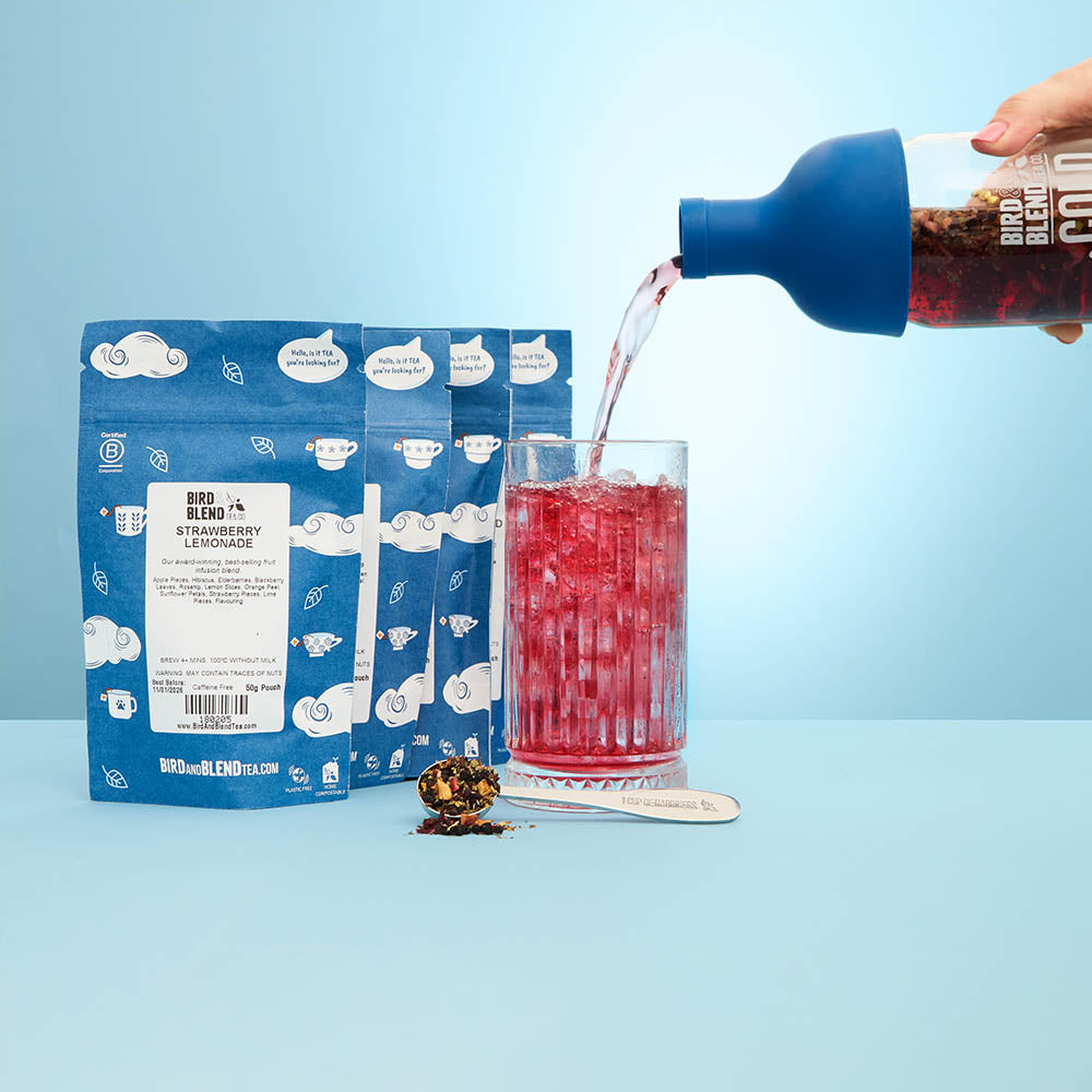 cold brew starter kit refresher