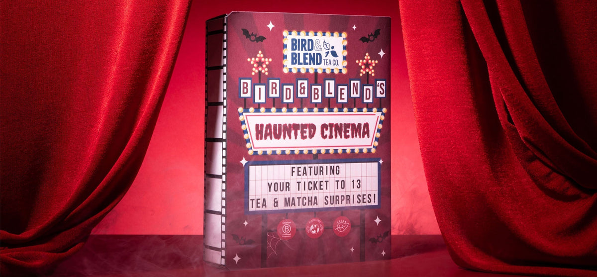 haunted cinema spooky countdown calendar
