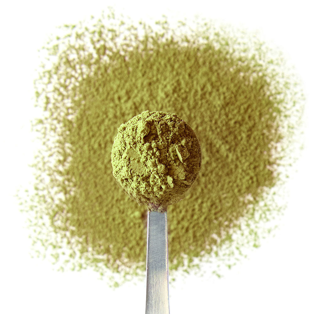 Moomin Berry Matcha Powder Spoon