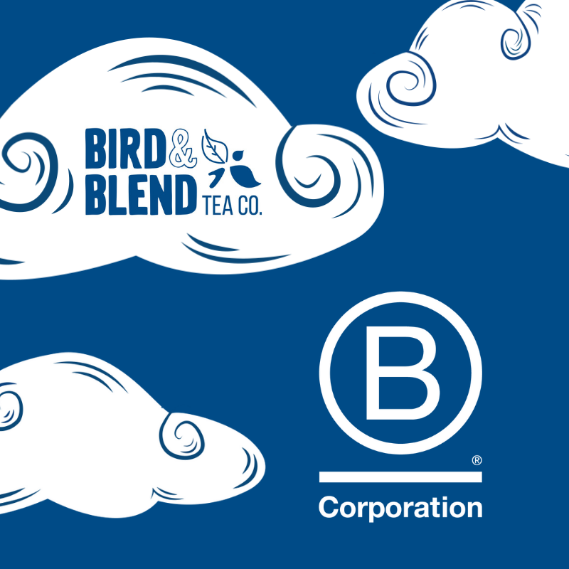 Bird & Blend Tea Co. are becoming a B-Corp