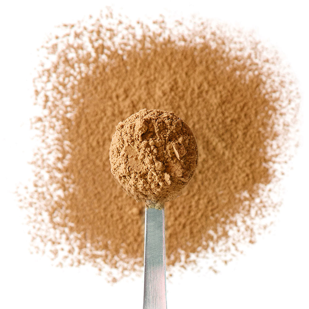 baked apple hojicha tea spoon