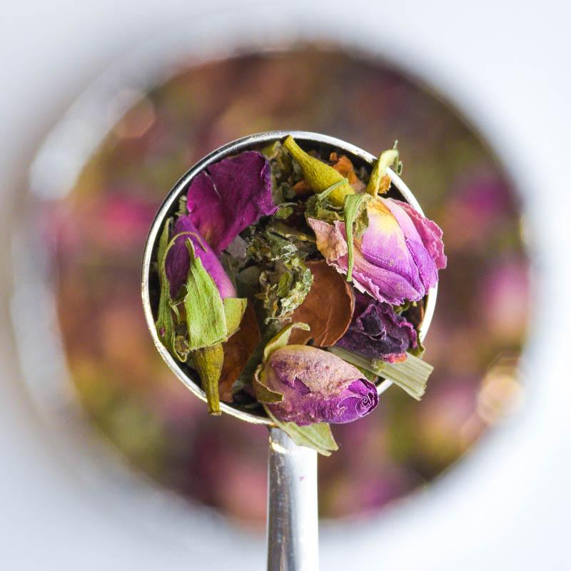 enchanted narnia loose leaf tea in perfect tea spoon
