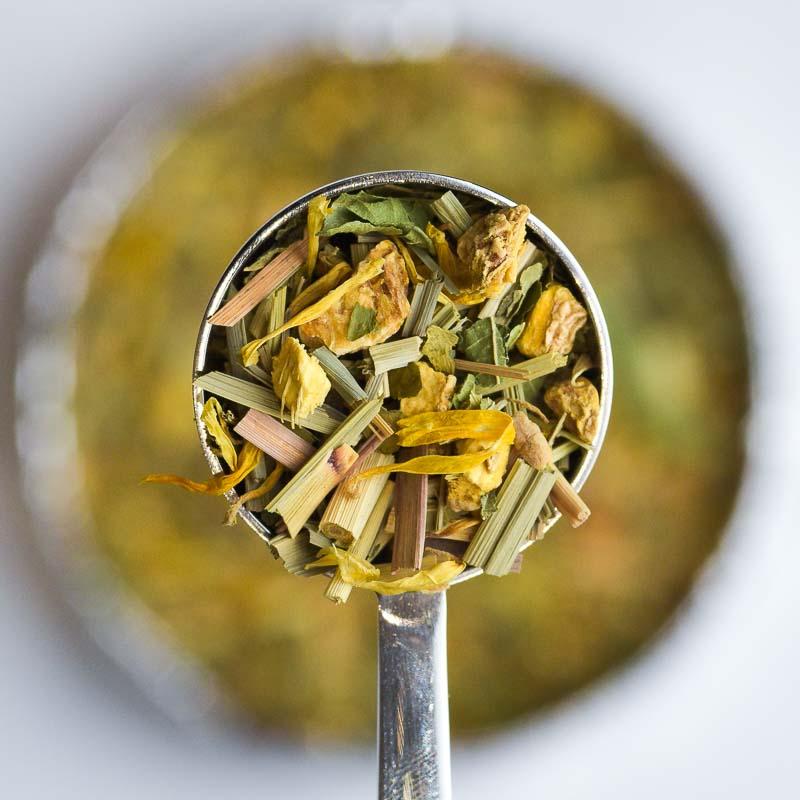 morning kick yerba mate loose leaf tea in perfect tea spoon