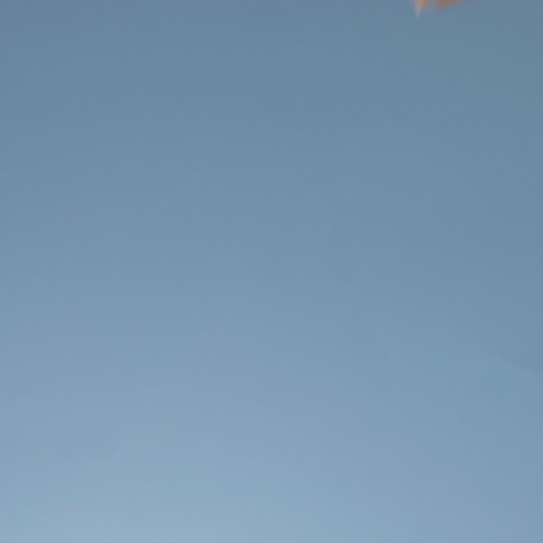 tea &amp; biscuit tea bag selection gift cube brewing in mug video