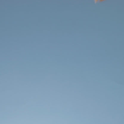 tea &amp; biscuit tea bag selection gift cube brewing in mug video