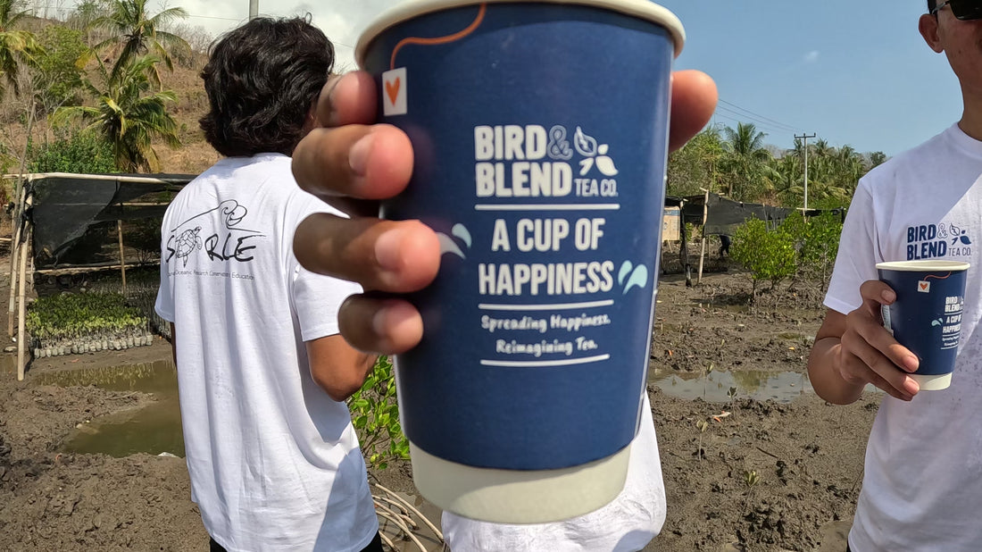 Tree app in lombok indonesia drinking bird & Blend tea co tea out of our takeaway cups.