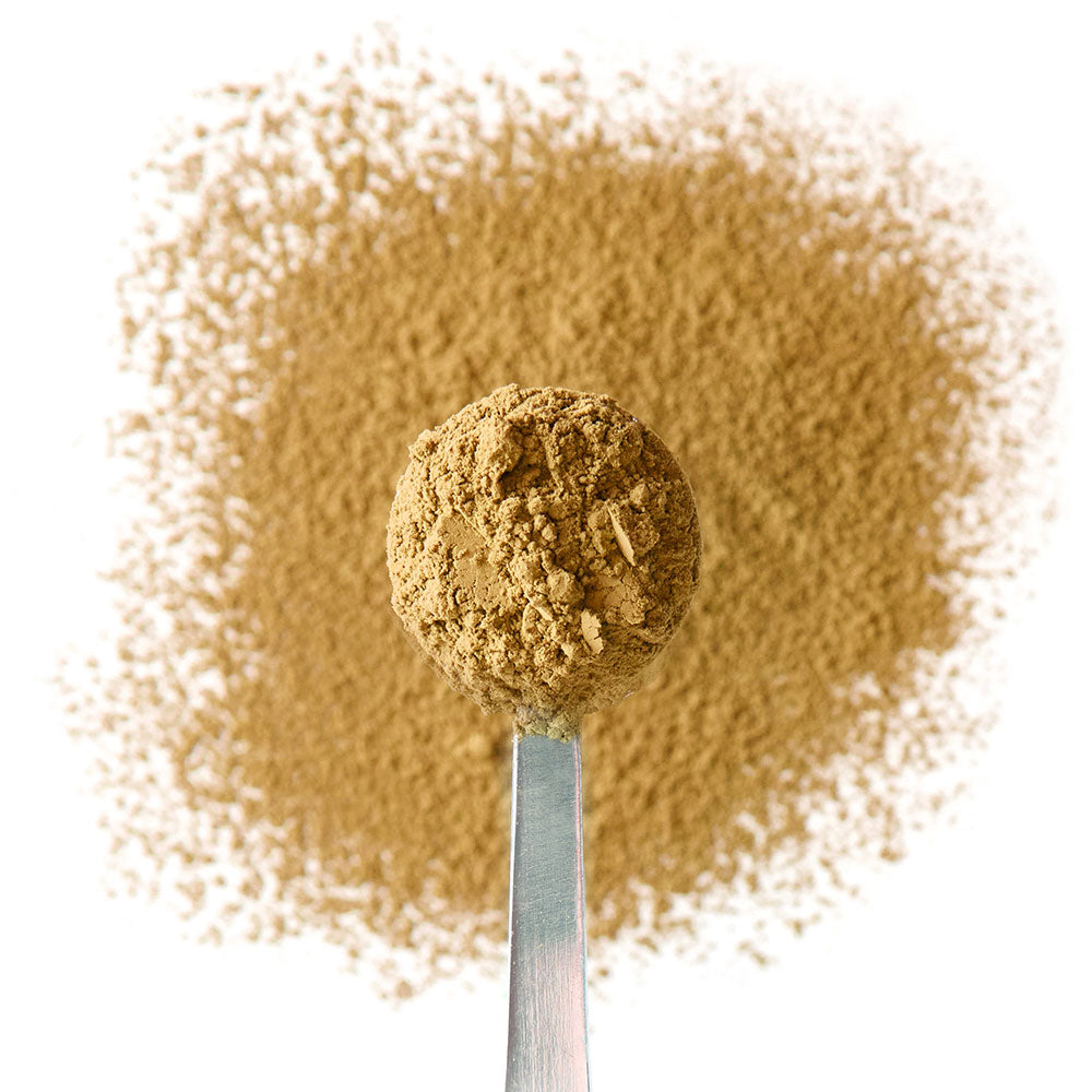 spiced pumpkin chai tea powder spoon
