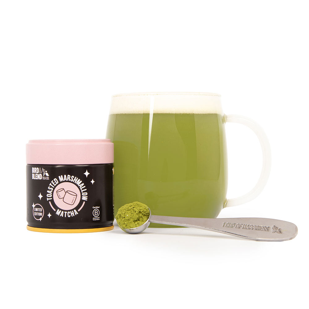 toasted marshmallow matcha tin & spoon filled with matcha tea powder & hot matcha latte