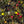 Load image into Gallery viewer, Brighton Rock Mint Oolong Tea
