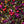 Load image into Gallery viewer, campfires &amp; vampires loose leaf tea
