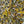 Load image into Gallery viewer, Morning Kick Yerba Mate Energy Tea
