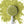 Load image into Gallery viewer, peaches and cream matcha
