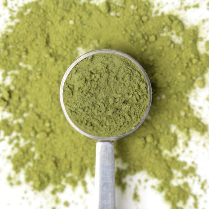 swampting matcha 